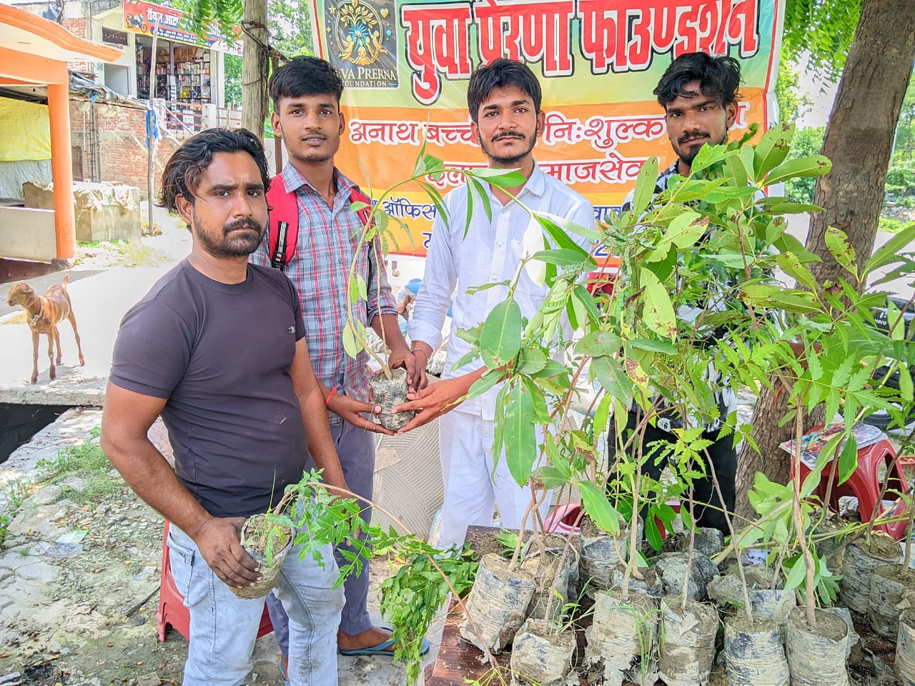 Social Welfare